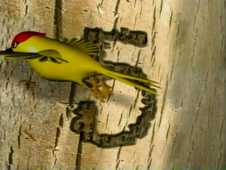 Abertura de Sítio do Picapau Amarelo
