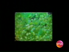 Abertura de Vale Tudo