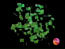 Abertura de Vale Tudo