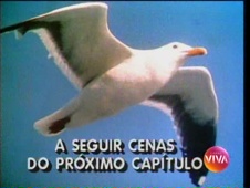 Vinhetas de Vale Tudo