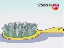 Abertura de Sexo Frágil